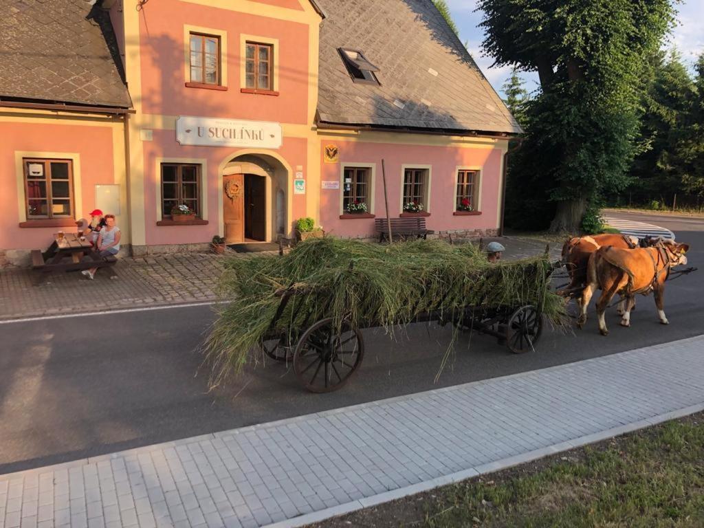 Penzion U Suchanku Mezimesti Extérieur photo