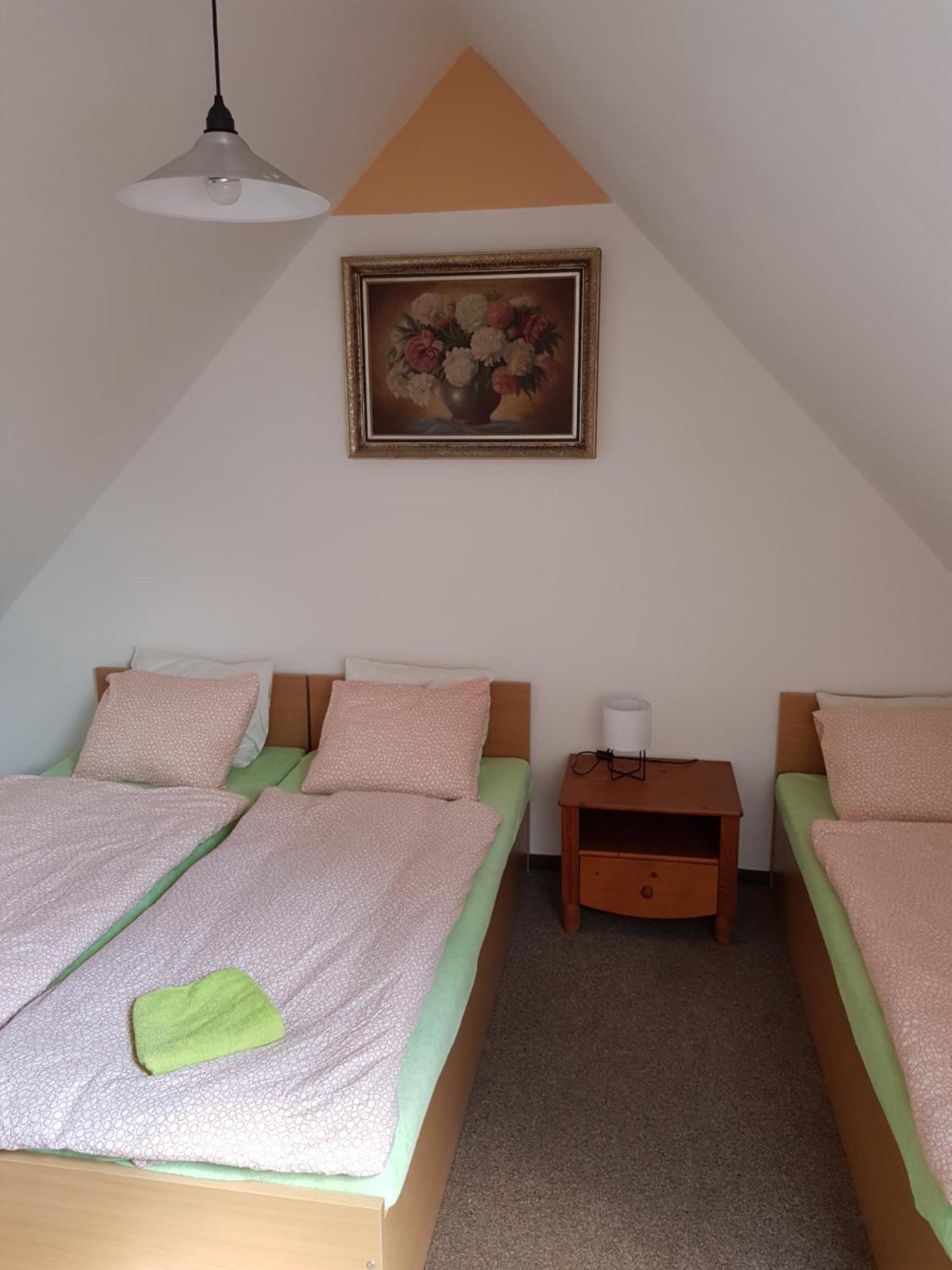 Penzion U Suchanku Mezimesti Extérieur photo